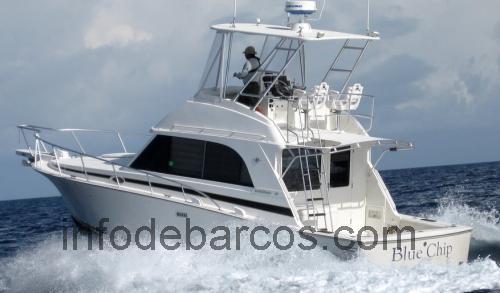 Bertram 33 Flybridge Cruiser ficha-técnica e avaliações